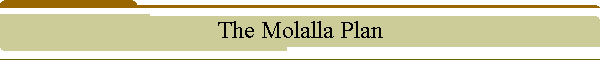 The Molalla Plan
